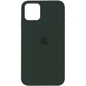 Оригинальный чехол Silicone Cover 360 с микрофиброй для Iphone 12 Pro Max – Зеленый / Cyprus Green