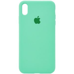 Оригинальный чехол Silicone Case 360 с микрофиброй для Iphone X / XS – Зеленый / Spearmint