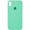 Оригинальный чехол Silicone Case 360 с микрофиброй для Iphone XR – Зеленый / Spearmint