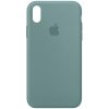 Чохол Silicone Case 360 для Iphone X / XS Зелений / Cactus