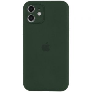Оригинальный чехол Silicone Case Full Camera Protective с микрофиброй для Iphone 12 – Зеленый / Cyprus Green