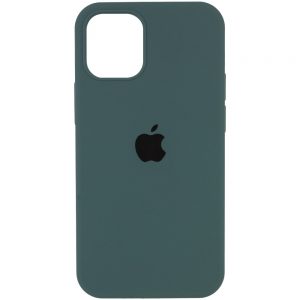 Чохол Silicone Case для Iphone 13 Pro Зелений / Cactus