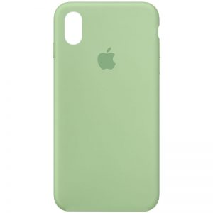 Оригинальный чехол Silicone Case 360 с микрофиброй для Iphone X / XS – Зеленый / Pistachio