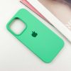 Чехол Silicone Case для Iphone 16 Pro Зеленый / Spearmint 184113