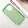 Чехол Silicone Case для Iphone 16 Pro Зеленый / Spearmint 184114