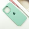 Чехол Silicone Case для Iphone 16 Pro Max Бирюзовый / Turquoise 184121