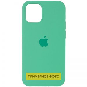 Чехол Silicone Case для Iphone 16 Pro Зеленый / Spearmint