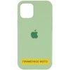 Чехол Silicone Case для Iphone 16 Pro Мятный / Mint